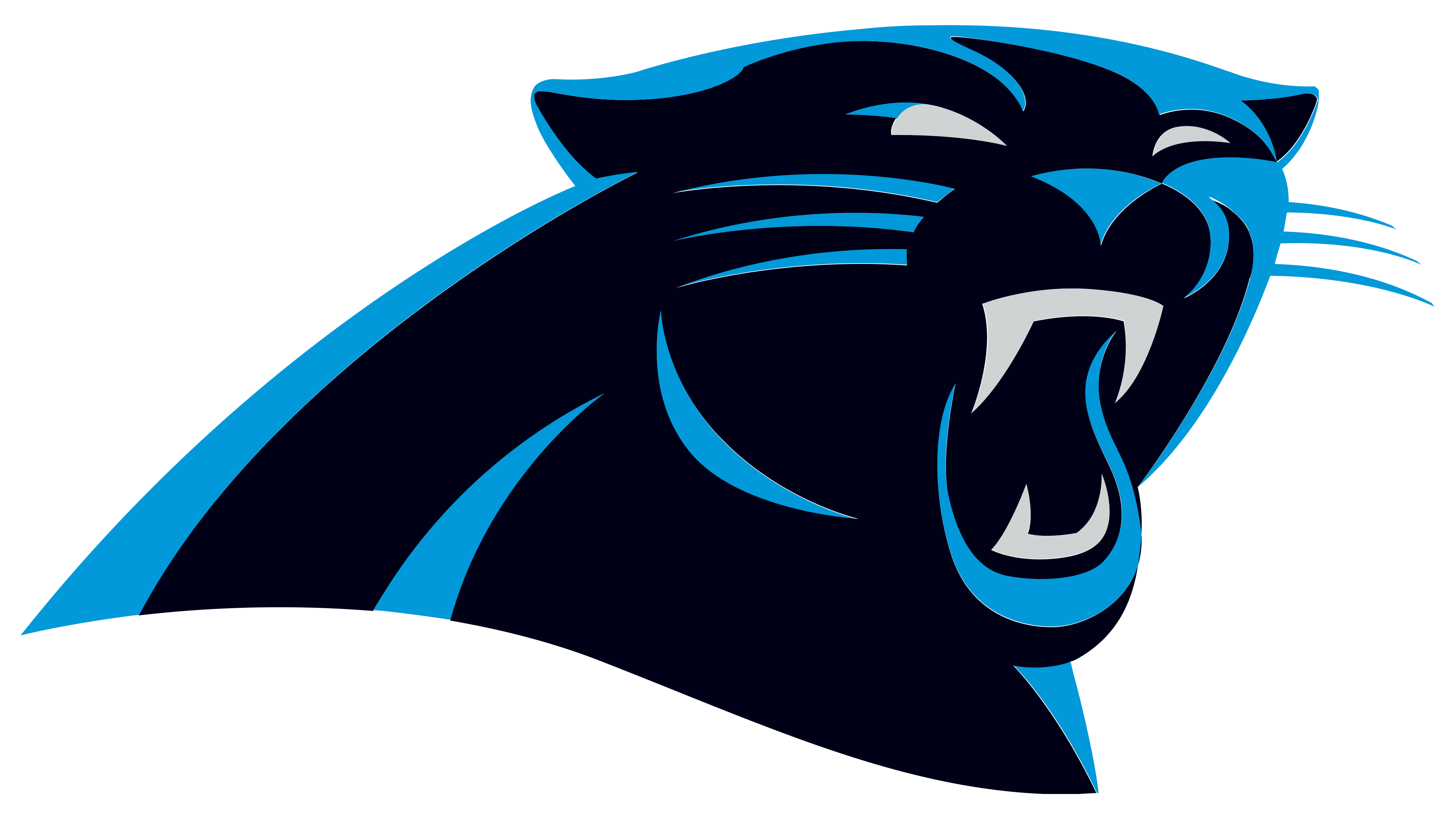 Panthers Logo