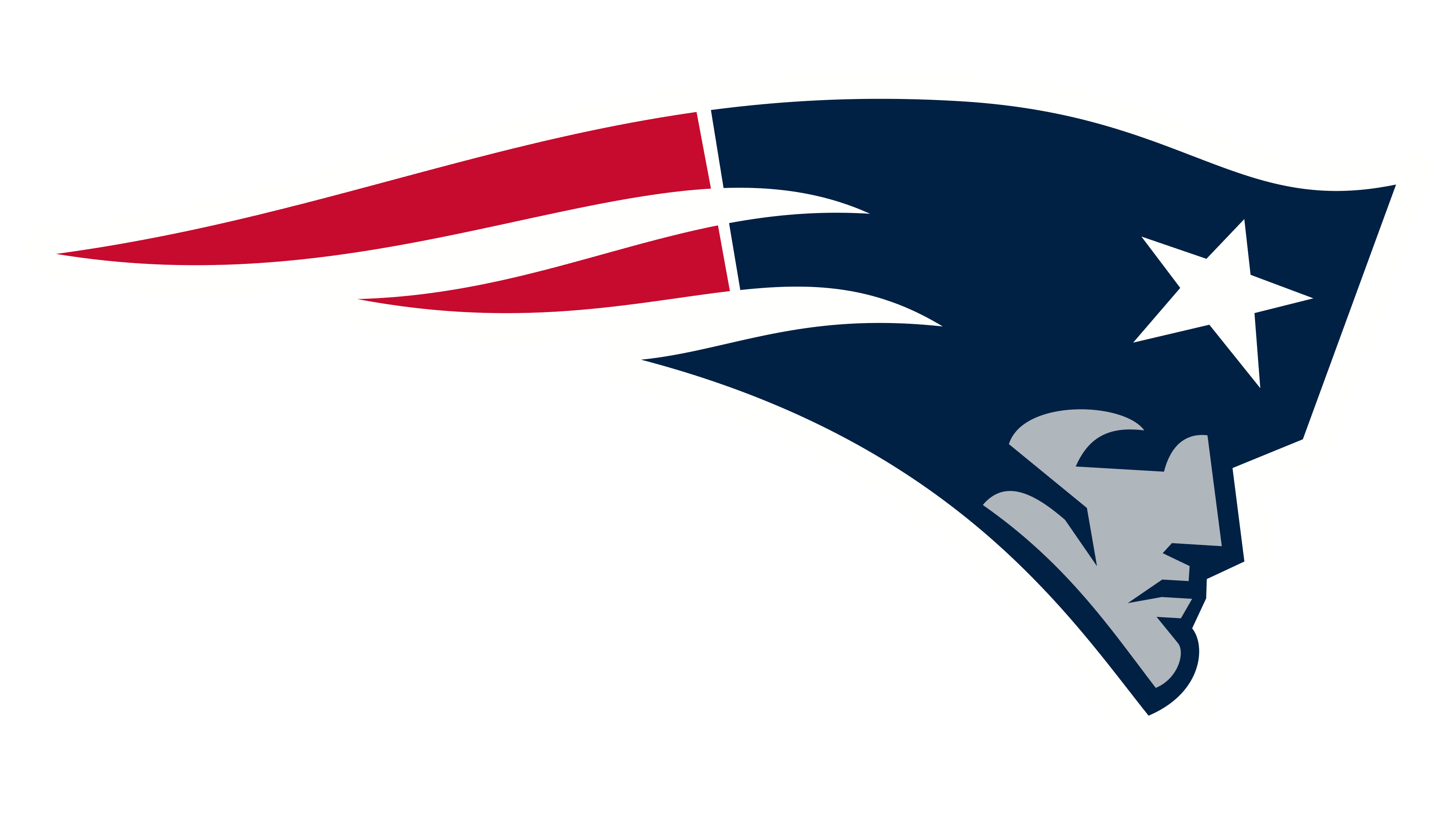 Pats Logo